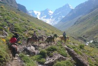 /album/fotogaleria-fotogaleria/dsc-0445-2-jpg/